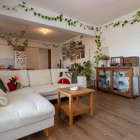 Apartman Cozy Home-away-from-home In